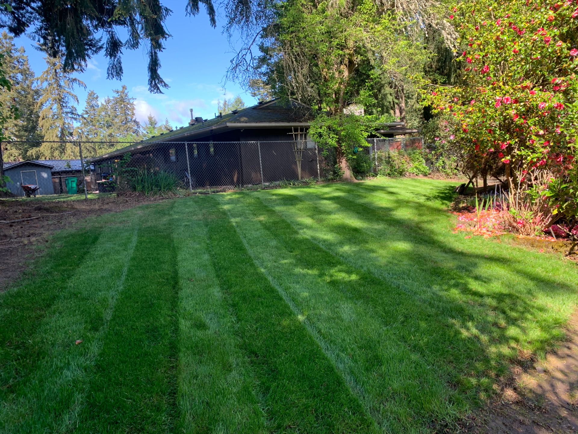 Yard Dethatching Service in Anaheim, CA | Anaheim Aeration